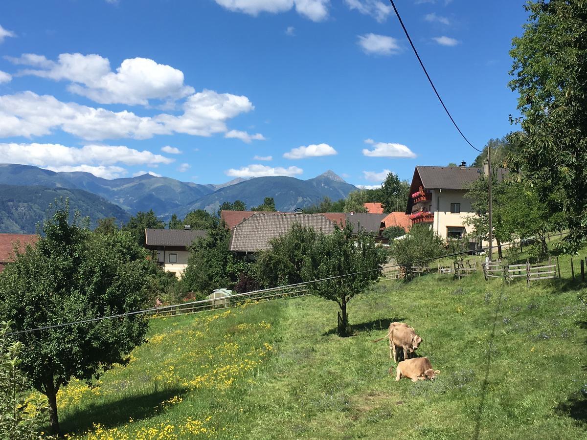 B&B Pension Karlsdorfer Hof Seeboden Dış mekan fotoğraf